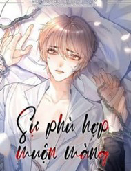 Truyện tranh Sự Phù Hợp Muộn Màng